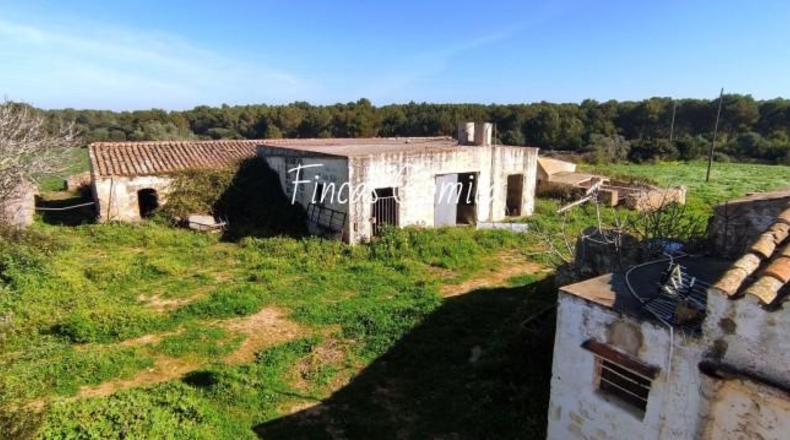 Islas Baleares - Son Parc - 1835000m2