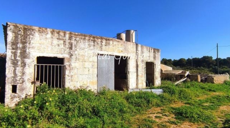 Islas Baleares - Son Parc - 1835000m2