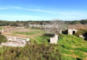 Casa de camp amb terreny en venda a la España, es Mercadal, ref.: TR144137 foto