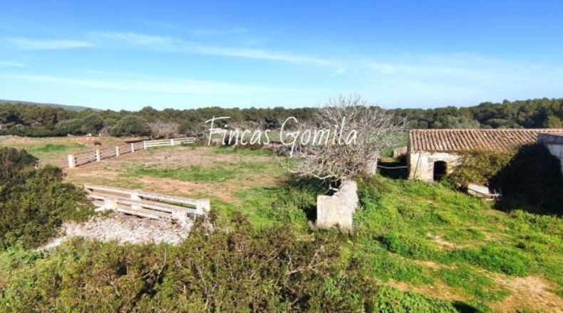 Islas Baleares - Son Parc - 1835000m2