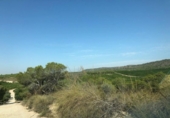 Terreny no urbanitzable en venda a la España, el Pilar de la Foradada, ref.: TR114848 foto