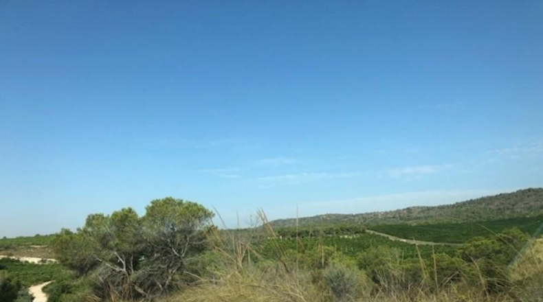 Alicante - Pilar de la Horadada - 1500000m2