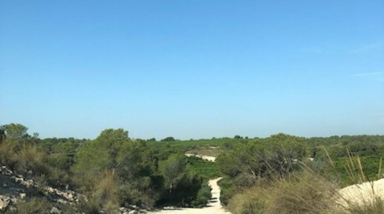 Alicante - Pilar de la Horadada - 1500000m2