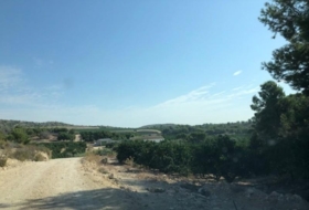 Foto 13