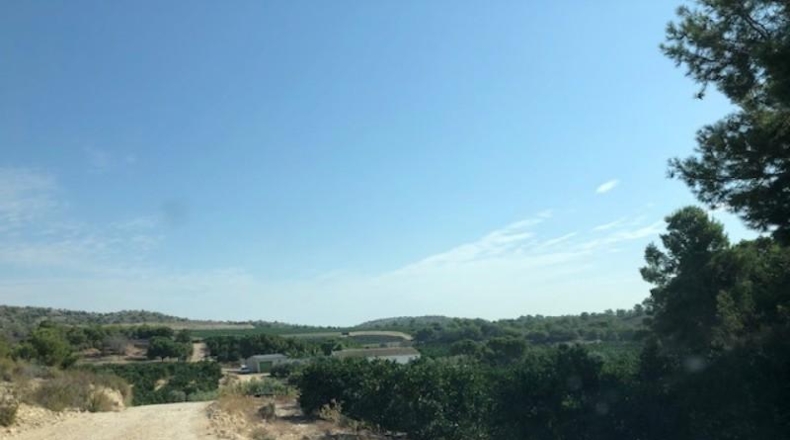 Alicante - Pilar de la Horadada - 1500000m2