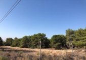 Terreny no urbanitzable en venda a la España, el Pilar de la Foradada, ref.: TR114848 foto