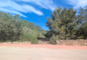 Urban land for sale on España, Cala Galdana, ref: TR264822 photo