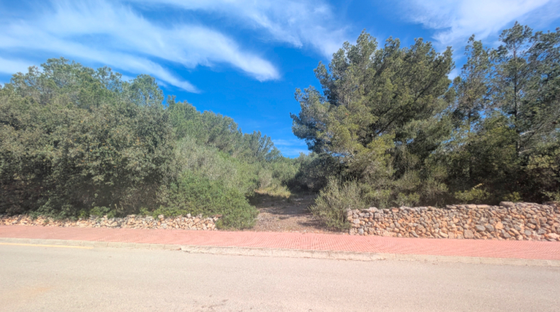 Balearic Islands - Ferrerías - 26783m2