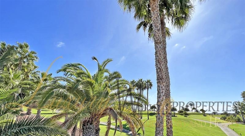 Santa Cruz de Tenerife - Guía de Isora - 872m2