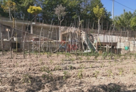 Treviño 2029&nbsp;m² 