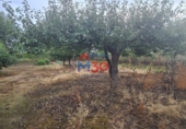 Industrial warehouse for sale in Miranda de Ebro ref: TR48109 photo