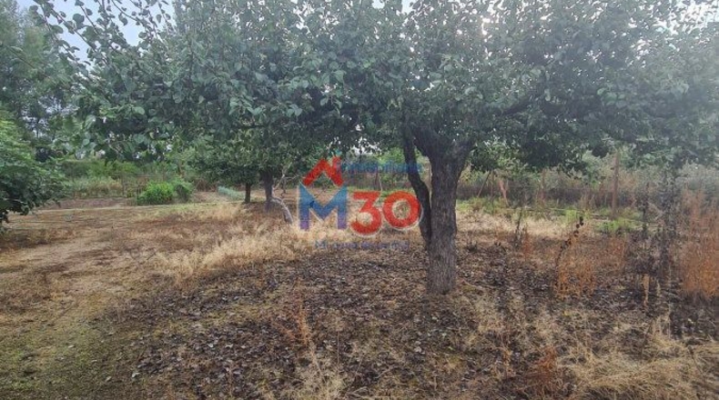 Burgos - Miranda de Ebro - 2000m2