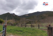 Finca rústica en venta en Miranda de Ebro ref: TR43317 foto