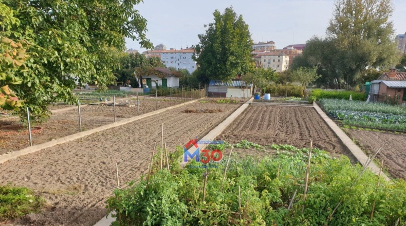 Burgos - Miranda de Ebro - 1200m2