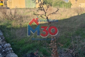 Manzanos 384&nbsp;m² 