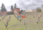 Non-developable land for sale in Galbárruli ref: TR70761 photo
