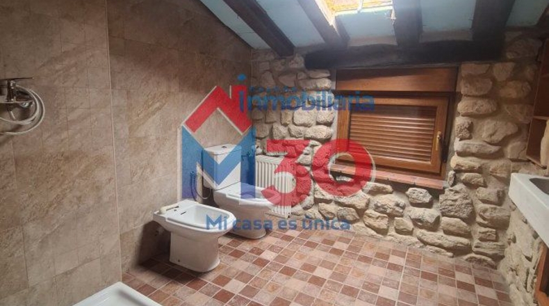 Burgos - Ayuelas - 220m2