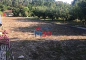 Terreny no urbanitzable en venda a Miranda de Ebro ref.: TR103333 foto