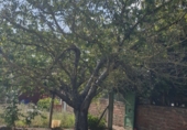 Parcel·la urbanitzable en venda a Miranda de Ebro ref.: TR252064 foto
