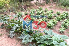 Foto 14