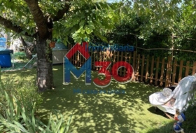 Foto 20
