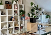 Chalet independiente con terreno en venta en Miranda de Ebro ref: TR339516 foto