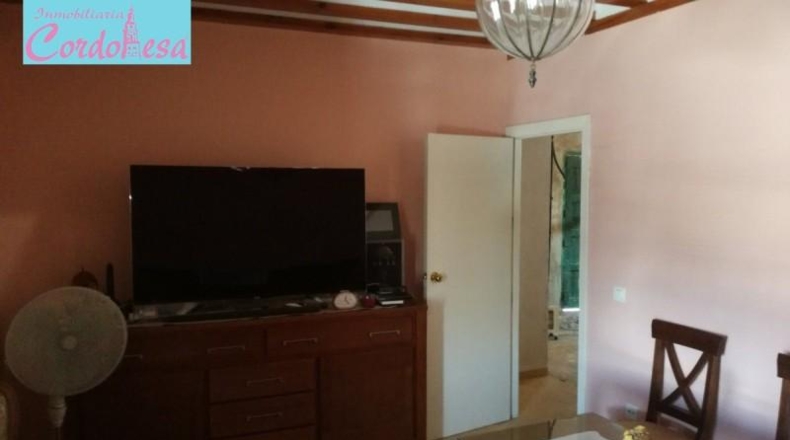 Córdoba - Córdoba - 1350m2