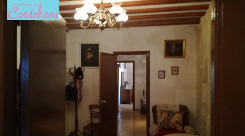 Córdoba - Córdoba - 1350m2