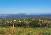 Chalet independiente con terreno en venta en la España, Sant Llorenç des Cardassar, ref: TR339462 foto