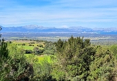 Chalet independiente con terreno en venta en la España, Sant Llorenç des Cardassar, ref: TR339462 foto