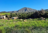 Chalet independiente con terreno en venta en la España, Sant Llorenç des Cardassar, ref: TR339462 foto