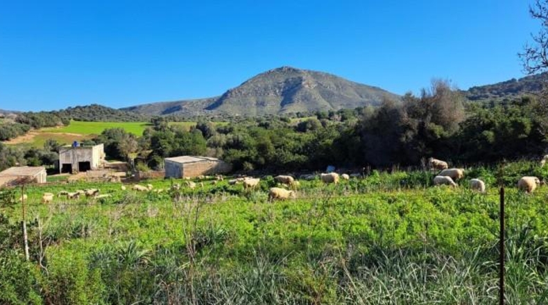 Balearic Islands - San Lorenzo del Cardessar - 10500000m2