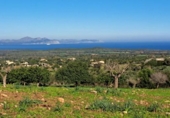 Chalet independiente con terreno en venta en la España, Sant Llorenç des Cardassar, ref: TR339462 foto