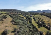 Chalet independiente con terreno en venta en la España, Sant Llorenç des Cardassar, ref: TR339462 foto