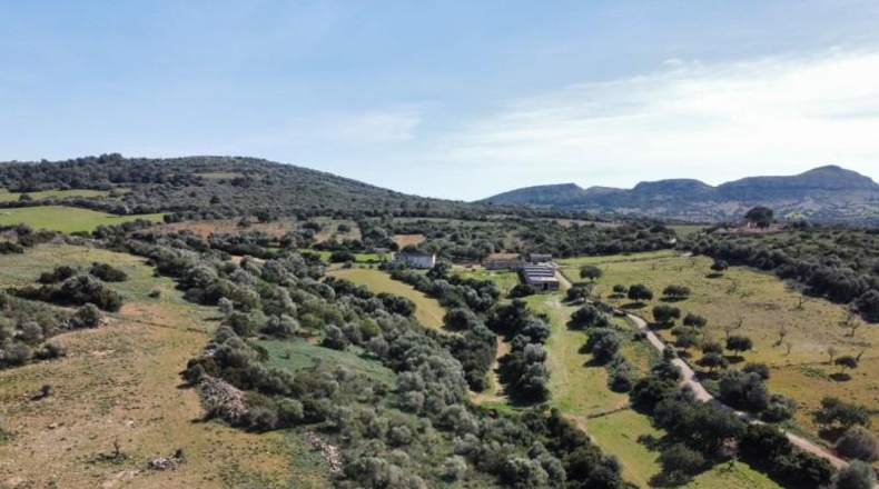 Balearic Islands - San Lorenzo del Cardessar - 10500000m2