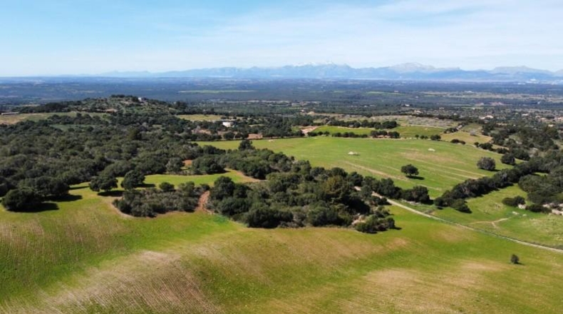 Balearic Islands - San Lorenzo del Cardessar - 10500000m2
