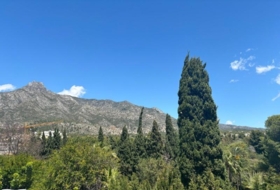 Foto 8