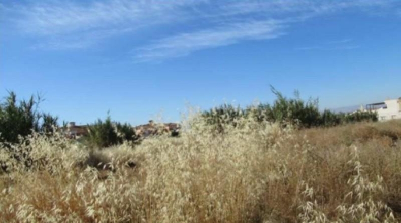 Granada - Albolote - 20168m2