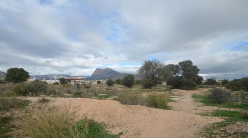 Alicante - Villajoyosa - 22215m2