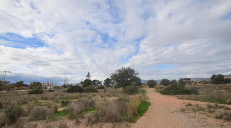 Alicante - Villajoyosa - 22215m2