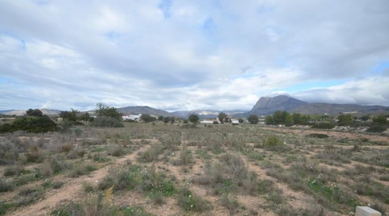 Alicante - Villajoyosa - 22215m2