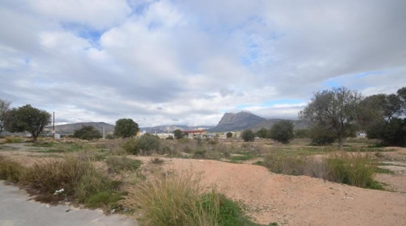 Alicante - Villajoyosa - 22215m2