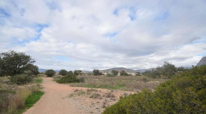 Alicante - Villajoyosa - 22215m2
