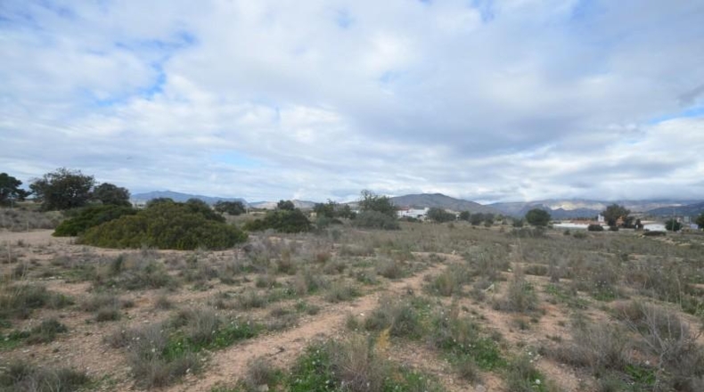 Alicante - Villajoyosa - 22215m2