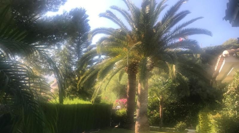 Málaga - Benahavís - 2271m2