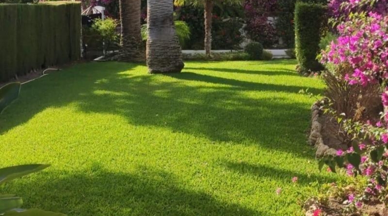 Málaga - Benahavís - 2271m2