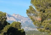 Casa de camp amb terreny en venda a la España, Altea, ref.: TR171907 foto