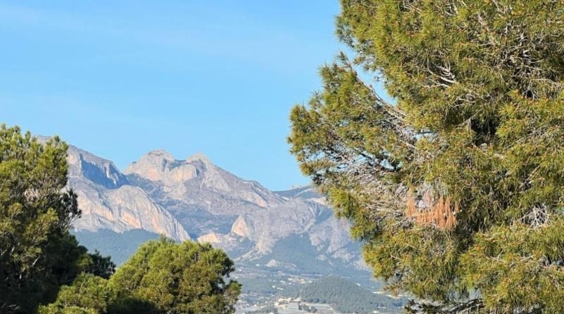 Alicante - Altea - 1680m2