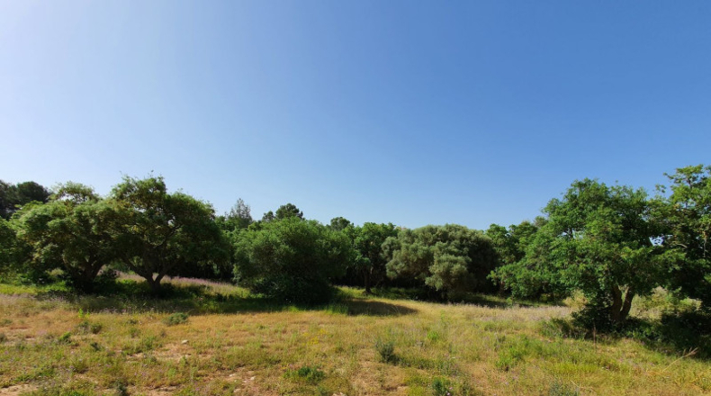 Cádiz - Algeciras - 11528m2