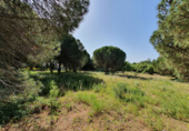 Sòl urbà en venda a la España, Algesires, ref.: TR117760 foto